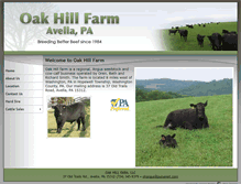 Tablet Screenshot of oakhill4angus.com